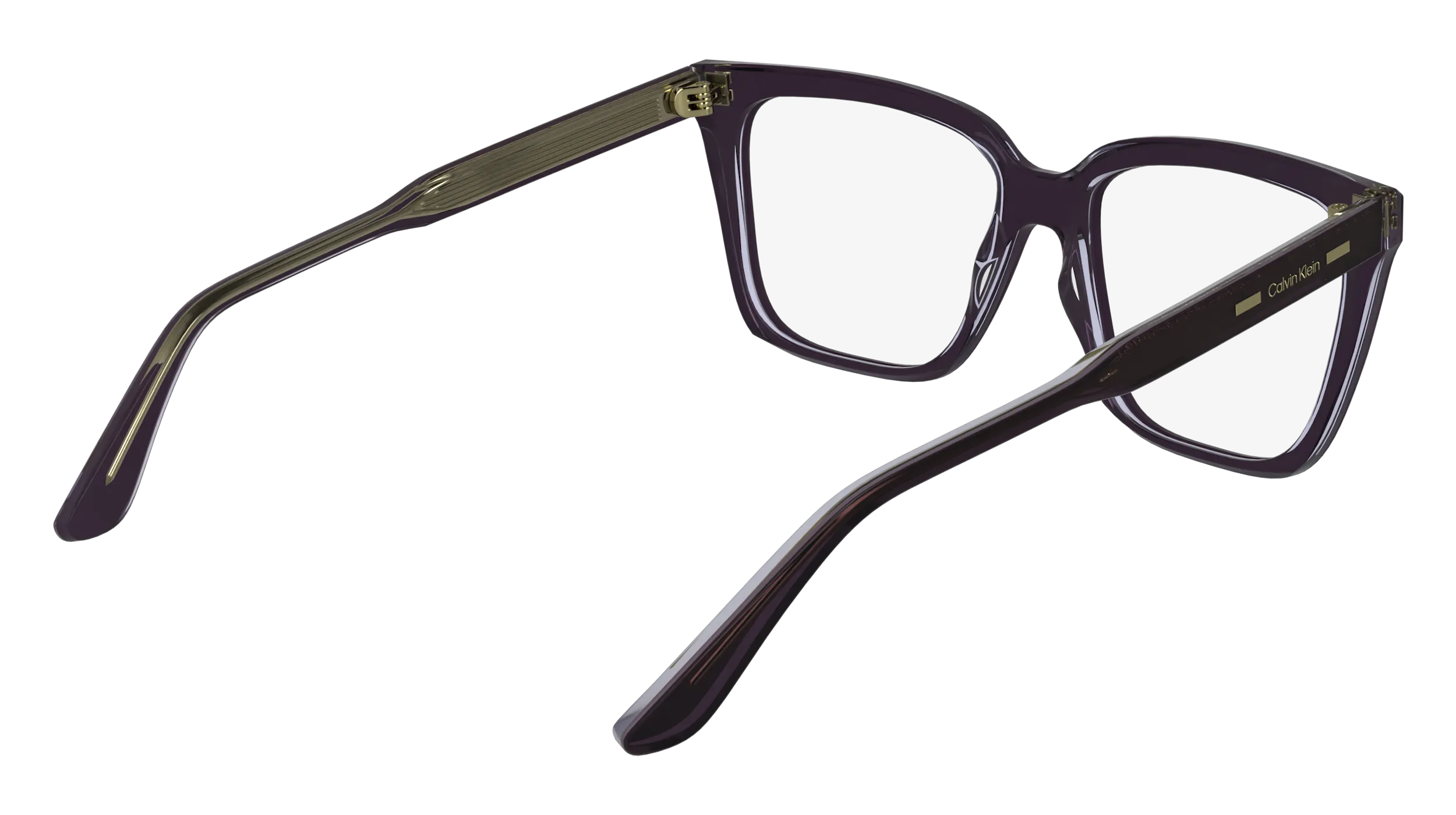 Calvin Klein CK24541 504