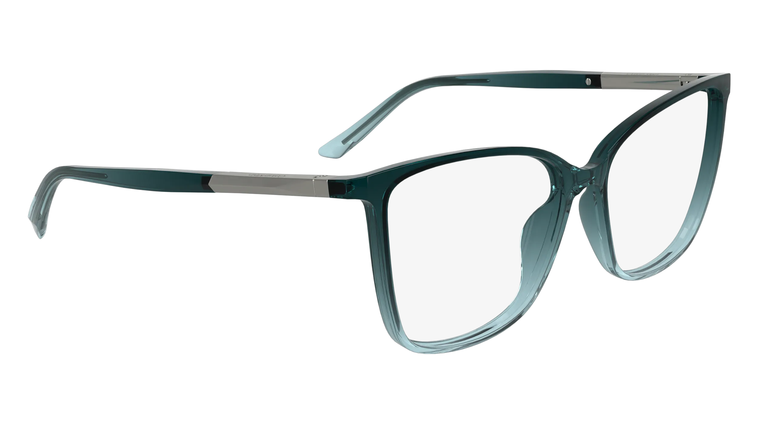 Calvin Klein CK24545 415