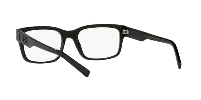 Dolce & Gabbana DG3352 501