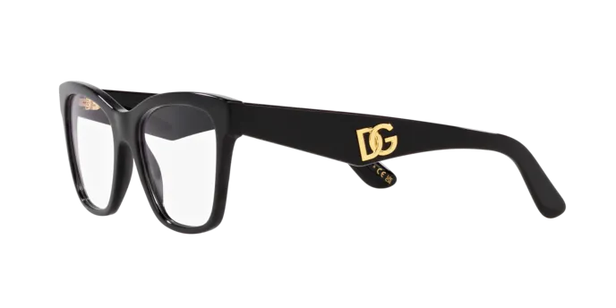Dolce & Gabbana DG3374 501