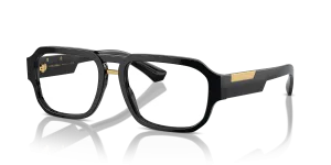 Dolce & Gabbana DG3389 501