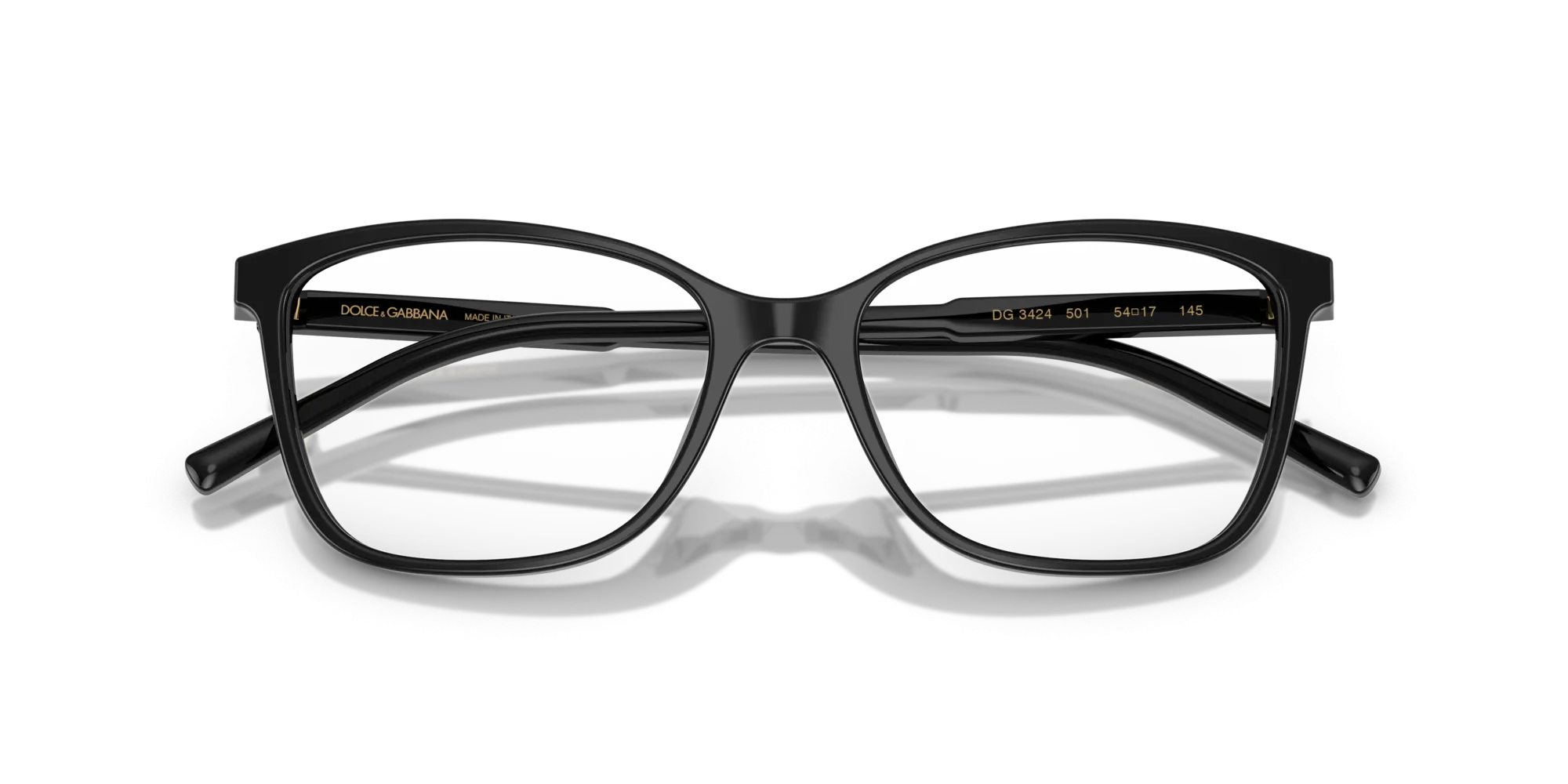 Dolce & Gabbana DG3424 501