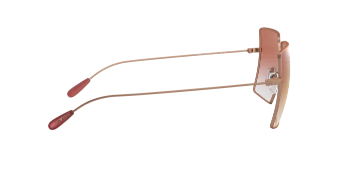 Emporio Armani EA2101 3004V0