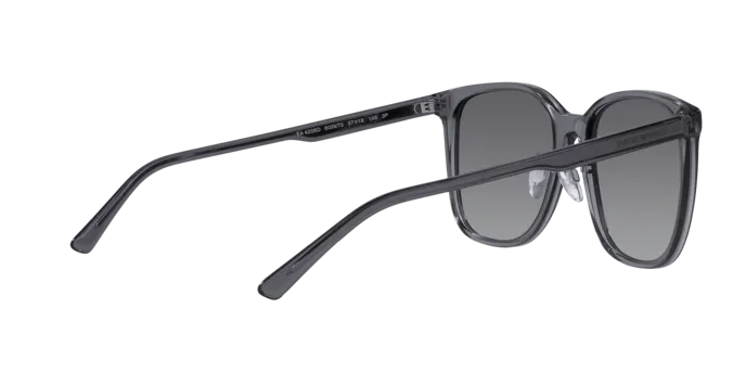 Emporio Armani EA4206D 5029T3