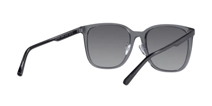 Emporio Armani EA4206D 5029T3
