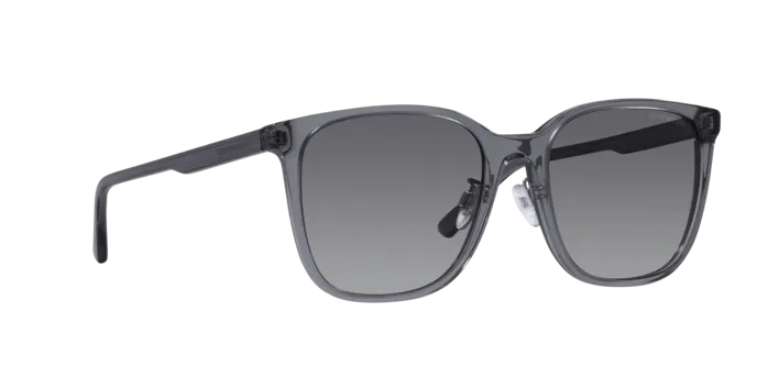 Emporio Armani EA4206D 5029T3