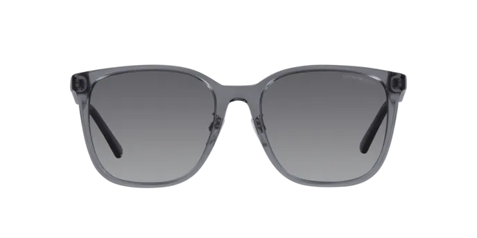 Emporio Armani EA4206D 5029T3