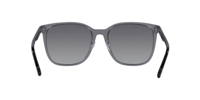 Emporio Armani EA4206D 5029T3