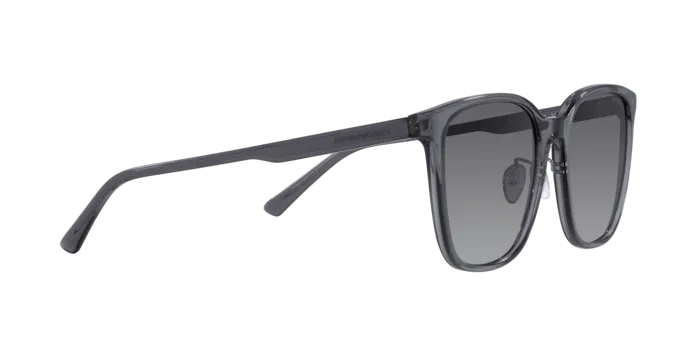 Emporio Armani EA4206D 5029T3