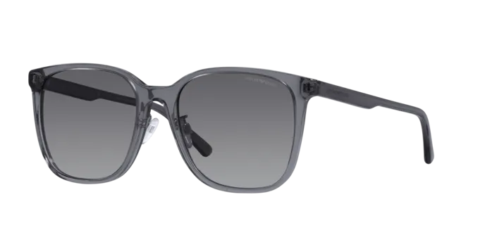 Emporio Armani EA4206D 5029T3