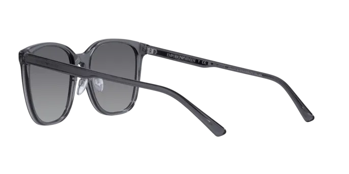 Emporio Armani EA4206D 5029T3